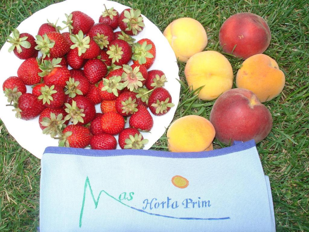 Гостевой дом Mas Horta Prim Сант-Педро-Пескадор Экстерьер фото